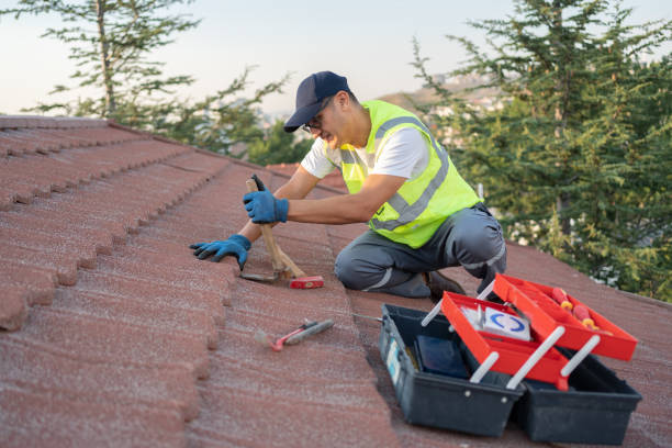 Roof Gutter Cleaning in Acton, CA